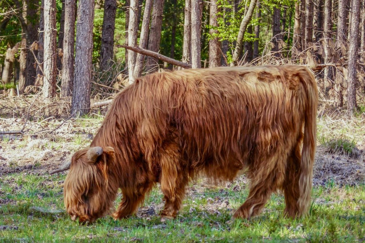Op Dn Kreijtenberg Milheeze Exteriér fotografie